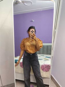 Stylish brownesh Puff Sleeve Top