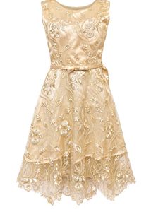 Elegant Lace Overlay Midi Dress