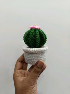 Handmade Crochet Cactus Decor