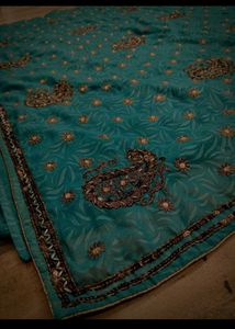 y2k Paisley sea green zari work Saree
