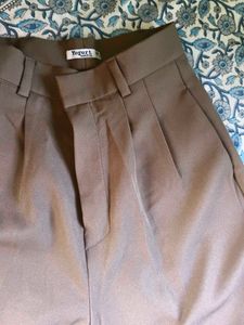 Stylish Pleated Taupe Pants