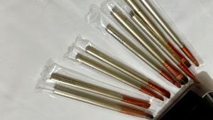 Makeup Brush Kit