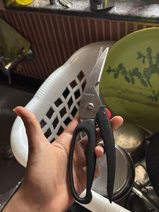 Fish Cutting Scissors ✂️
