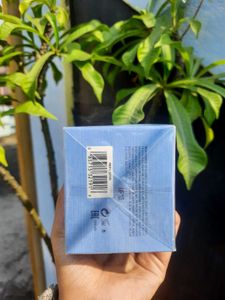 Guess 1981 Indigo EDT