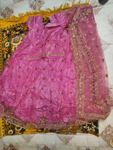 Pink Embroidered Lehenga Choli Set