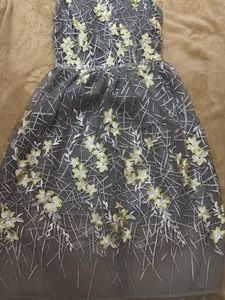 Sleeveless fit-and-flare party dress