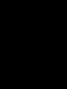 Flag 8
