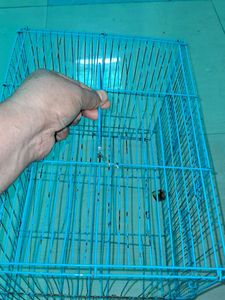 Pinjra