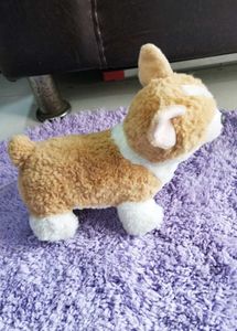 Cute Corgi Plushie