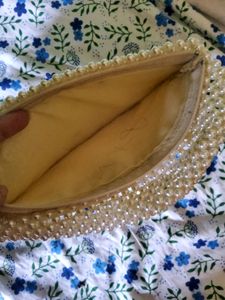Pearls / Beads -Purse/ Clutch