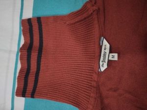 Rust Turtleneck Sweater