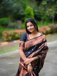 Elegant Black & Copper Saree