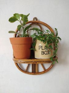 Rattan/Cane Wall Shelf with Plants