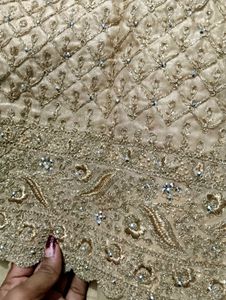 Embellished saree