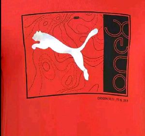 Lion Graphic T-Shirt