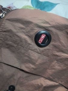 Women's Beige Brown Trench