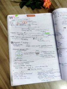 🎀 Neet All Subject notes 📚💚