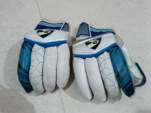 completely cricket kit