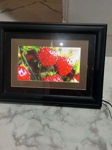 OmniTech Digital Photo Frame