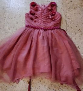 Birthday Onion Pink net and satin dress