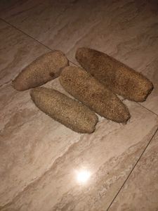 Best Natural Loofah Sponge