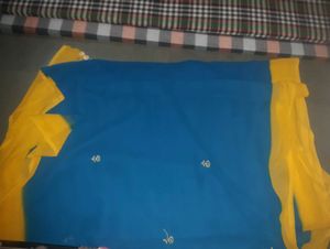 Blue and Yellow Saree with Floral Embroidery
