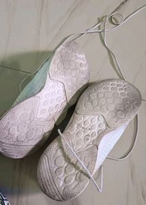 Off White Shoe