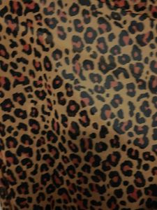 Leopard Print ready to wear saree with readymade b
