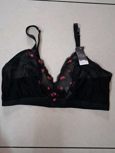44DDD Black Embroidered Mesh Bra