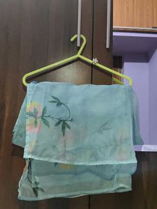 Organza dupatta 🩵