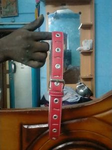 Never Used Kid's Belt