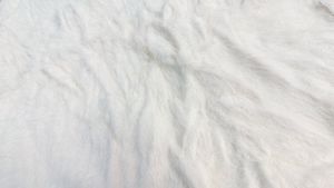 Cozy White Fuzzy Crop Top