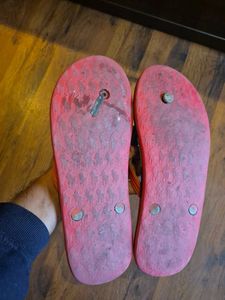 Polo Slippers For Men