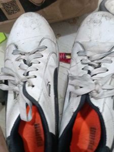 Puma White Casual Shoes