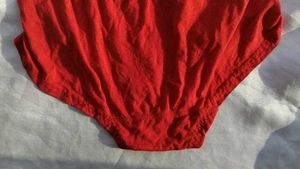 Red Lace Trim Briefs