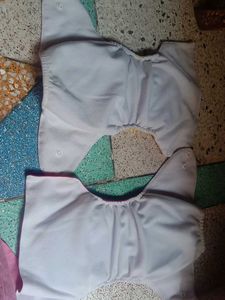 Set Of 2 Baby Cloth Diaper With Dry Pad.
