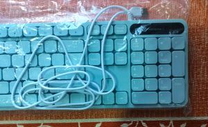 Portronics Wired Keyboard - Blue
