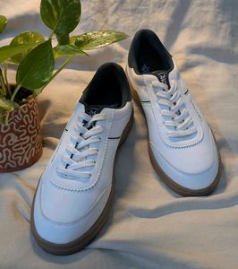 Women's White Sneakers size UK  4/37