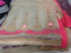Elegant Embellished Saree