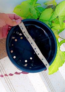 5 Black Nursery Planters