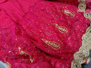 Vibrant Pink Embroidered Saree with Gold Border