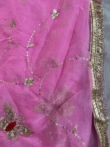 Beautiful Pink Saree with Butterfly Embroidery
