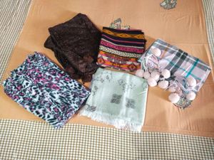 💞Bundle of Cozy Scarves💞