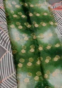 Elegant Green Saree with Golden Border