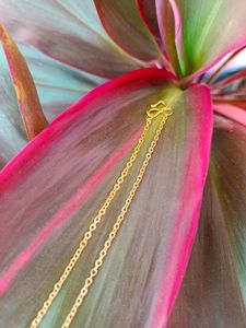 Combo Of Earing And Necklace
