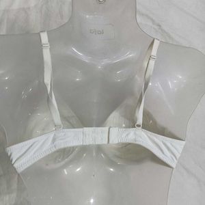 ,⭐36C bra