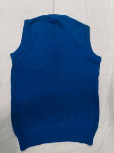 Blue V-Neck Sleeveless Sweater Vest