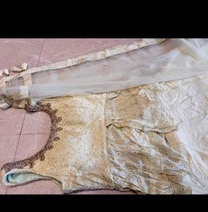 Elegant Pastel Ruffled Ethnic Gown
