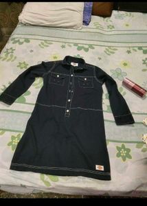Dickies Denim Dress