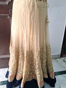 Elegant Embellished Ethnic Gown